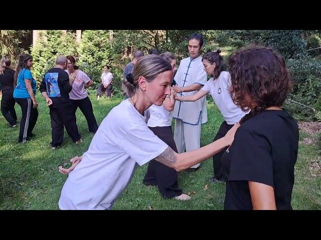 Tui Shou   Einhand-Drehen im Shaolin Temple Europe mit Sifu Jürgen Meyer und Shi Heng Zuan