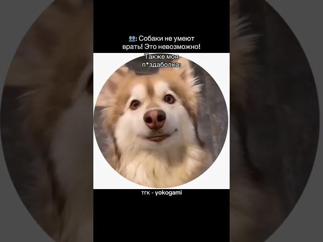 Перезалив 1 часть