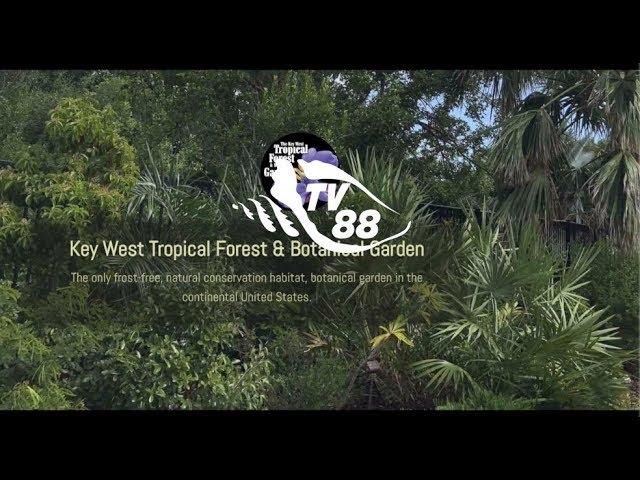 Take a Tour of the Key West Tropical Forest & Botanical Garden