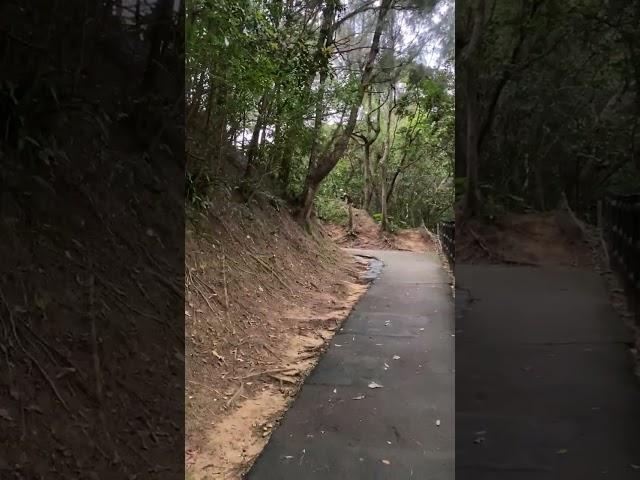 Park Of San Francisco In Okinawa Japan