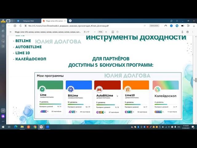 Презентация.  Вице-президент Lime Academy Юлия Долгова.