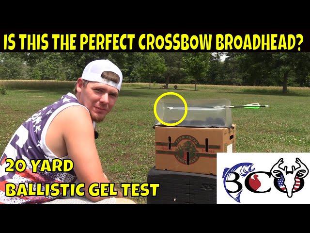 Rek broadheads fixed 1.2 modular crossbow ballistic gel test | bco review |