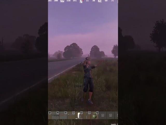 Казнили вора на конвое #gaming #dayz #dayzstandalone #дейз #shorts