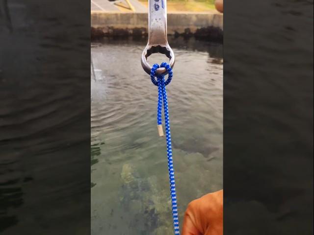 you will use this knots everyday/#rope#howto