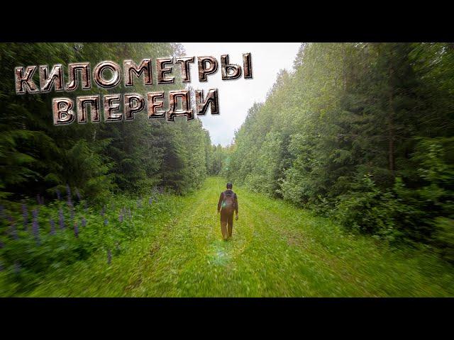 Километры впереди