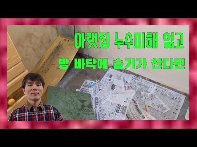 누수 피해 없이 장판 속 습기 발생과 곰팡이 발생 이유와 대책 (Moisture and mold growth in the floor coverings and solutions)