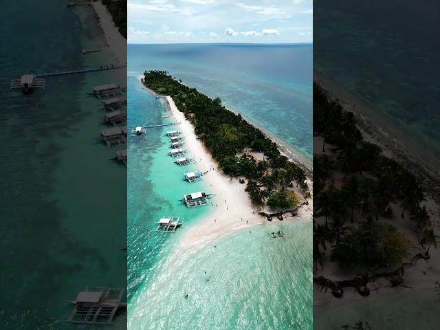 Kalanggaman Island  #philippines #travel #nature #vlog