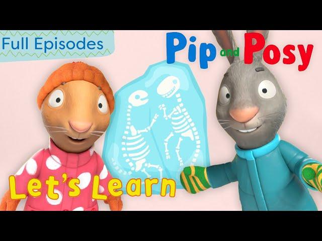 Ice Explorers | Pip and Posy Let's Learn | @pipandposyworld