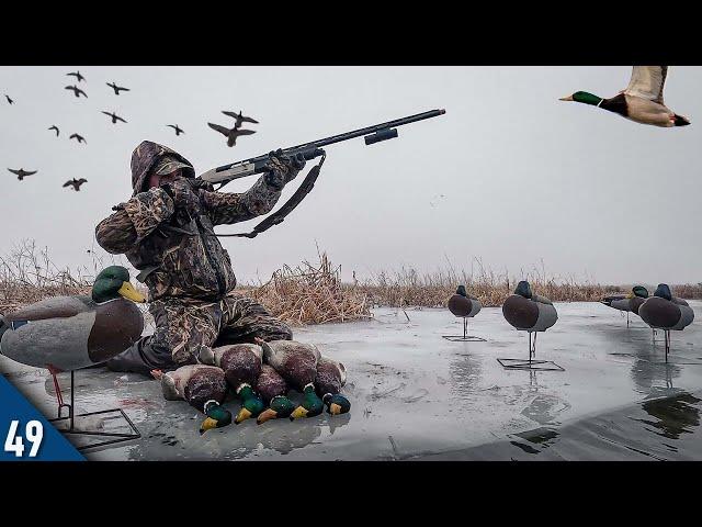 MALLARDS Dumped Into This ICE HOLE! (Limited Out) | Duck Hunting THICK Fog