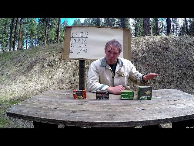 Birdshot for Home Defense Part II: Turkey Magnums