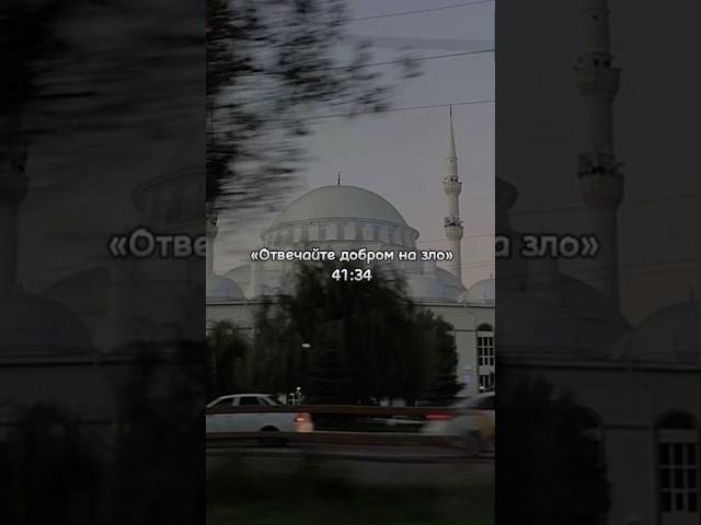 Наша религия #ислам #идеямоя #хочуврек #пинтерест #эстетика #shorts #rek #напоминание #нашид