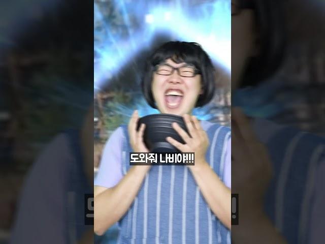 캣맘 레이드