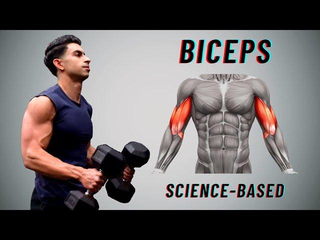 How To Build Your Biceps | Anatomy & Optimal Training