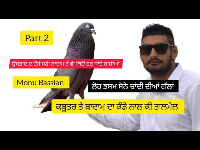 Ik Shonk kabootarbaazi Da Full Interview Part 2 Monu Basian ਭਸਮਾਂ ਕਦੋਂ ਦੇਣੀਆਂ ਤੇ ਕੰਡੇ ਨਾਲ ਕਿਵੇਂ ਤੋਲ