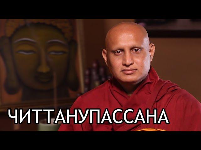 Бханте Ньянасиха. Читтанупассана. Наблюдение ума в уме / Студия Бодхи