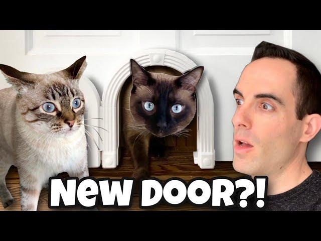 The Meow Manor Cat Door: Review and Installation