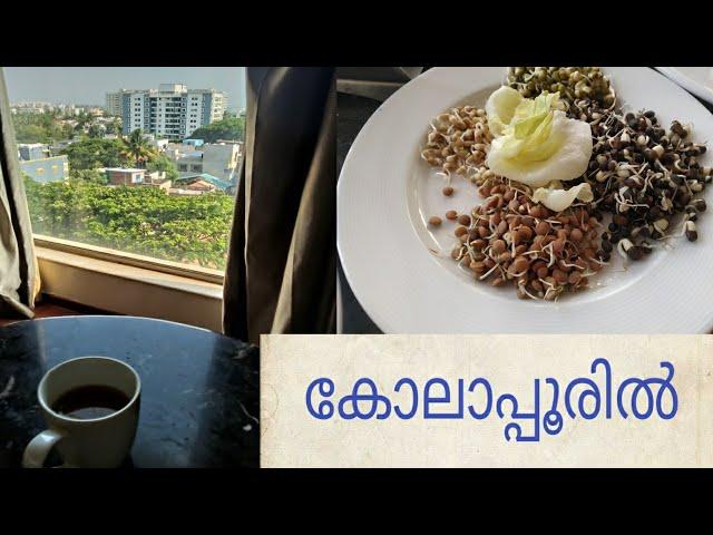 കോലാപ്പൂരിലൂടെ || Thermal Family || Malayalam Vlogs 46 | North Indian Mallu Family | Travel and Food