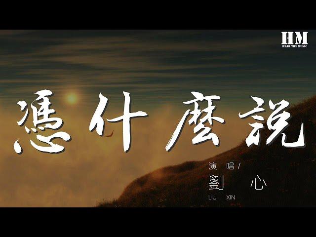 劉心 - 憑什麼說『你說你愛我愛我愛我愛我 憑什麼說』【動態歌詞Lyrics】