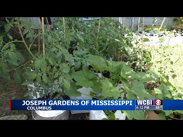 Local gardener looks to help feed Columbus community