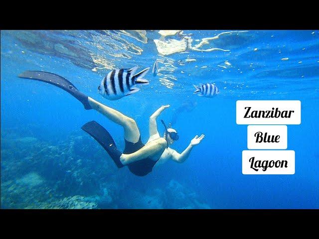 Is the Blue Lagoon in Zanzibar Worth It? #zanzibar