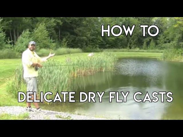 Dry Fly Casts | Delicate Presentations