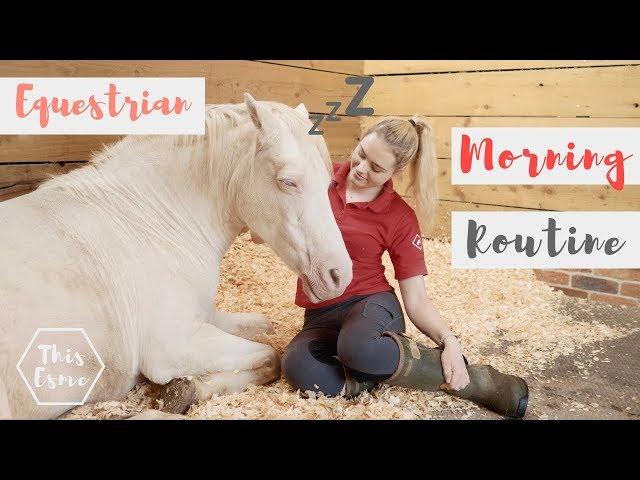 MORNING ROUTINE of an Equestrian | Summer 2018 | This Esme