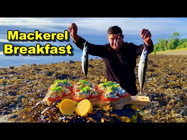 Shore Fishing MADE EASY Catching and Cooking Mackerel