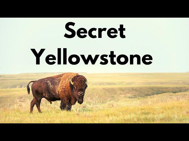 15 Ways to Escape the Crowds in Yellowstone!