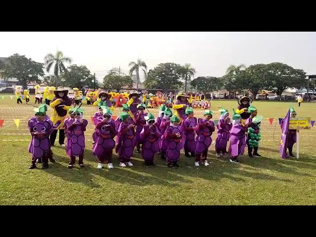 sukan taj daerah Kluang