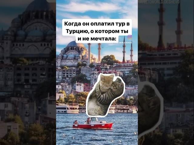 Тур агент онлайн! Горячий тур в Турцию