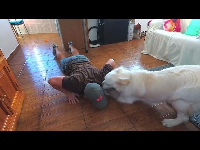 Dog interrupts workout: Funny Dog Bailey