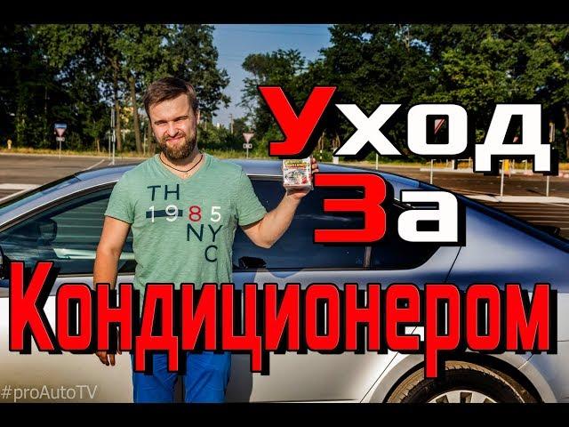 Запах в салоне авто / Очистка кондиционера / Сухой туман / Как устранить запах - Личный опыт