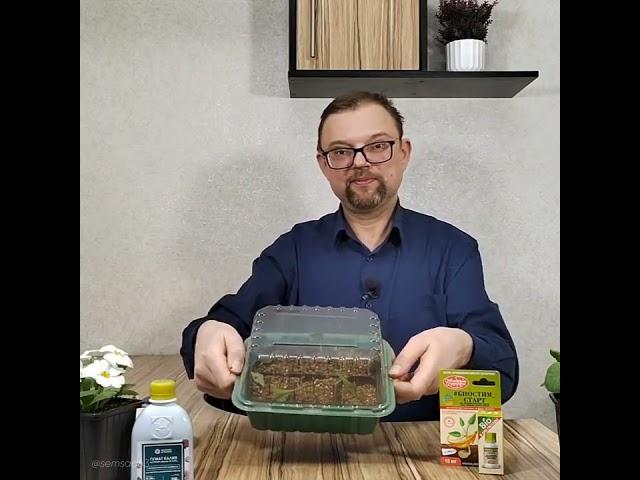 Черенкуем, пикируем рассаду, увеличиваем всхожесть семян используя эффективные недорогие препараты