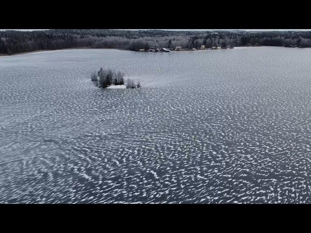 Alasjärvi, Tampere