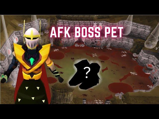This NEW Item Let Me AFK a Boss Pet on OSRS