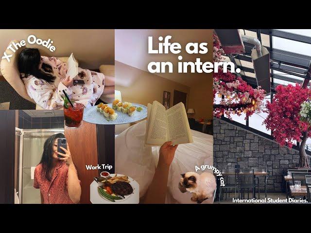 Life as an Intern in Canada X The Oodie