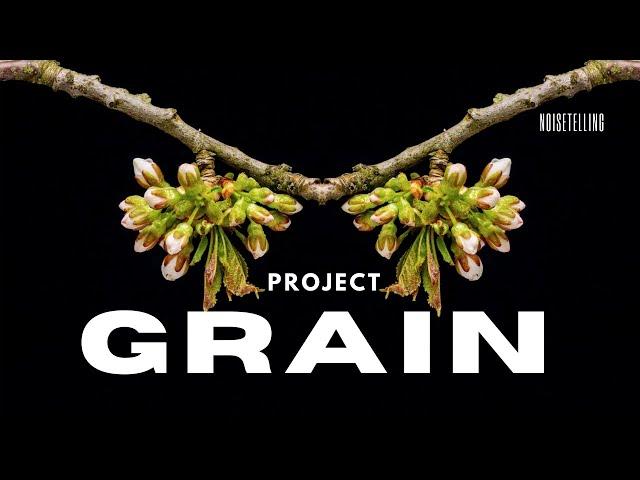 Project Grain