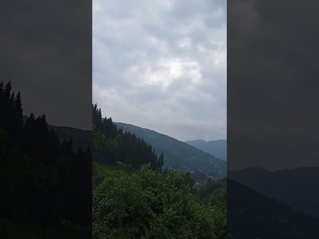 карпати#природа#спів птахів #краса #nature #гармония