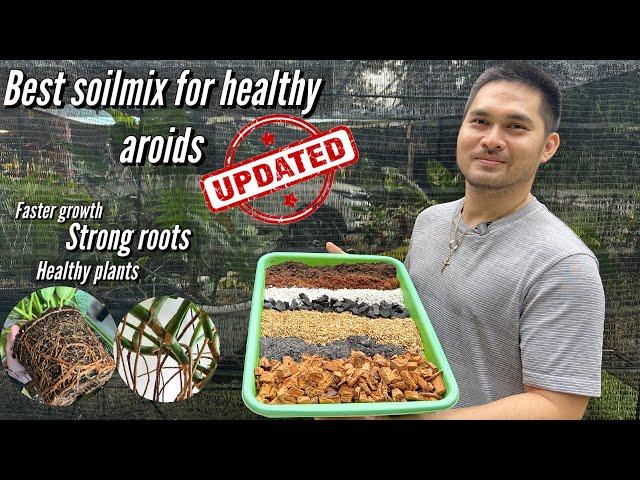 BEST SOILMIX FOR HEALTHY AROIDS (UPDATED)