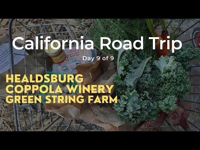 9 Day California Road Trip (Day 9): Healdsburg, Coppola Winery, and Green String Farm