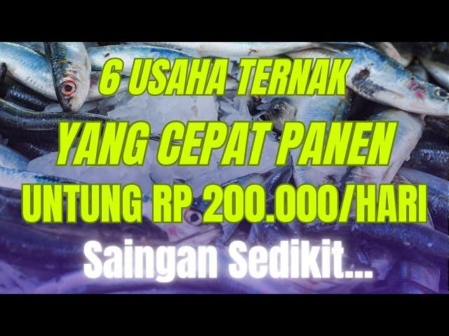 6 USAHA TERNAK YANG CEPAT PANEN UNTUNG 200 RIBU SEHARI YANG MENJANJIKAN! Peluang Usaha Peternakan