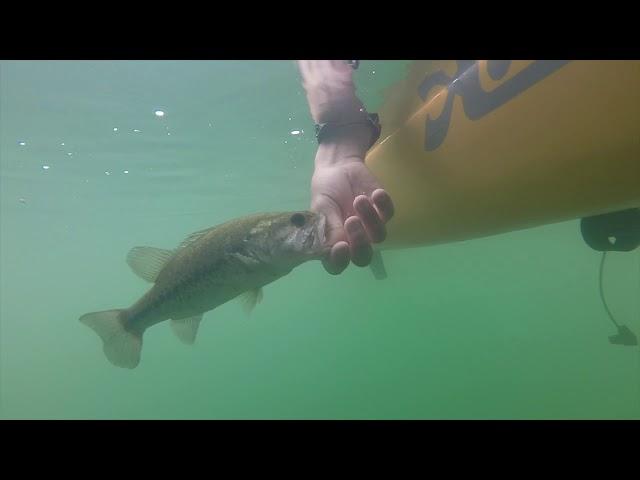 Kayak Fishing on Lake Travis