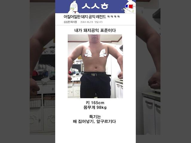 어질어질한 돼지공익 레전드 ㅋㅋㅋㅋ