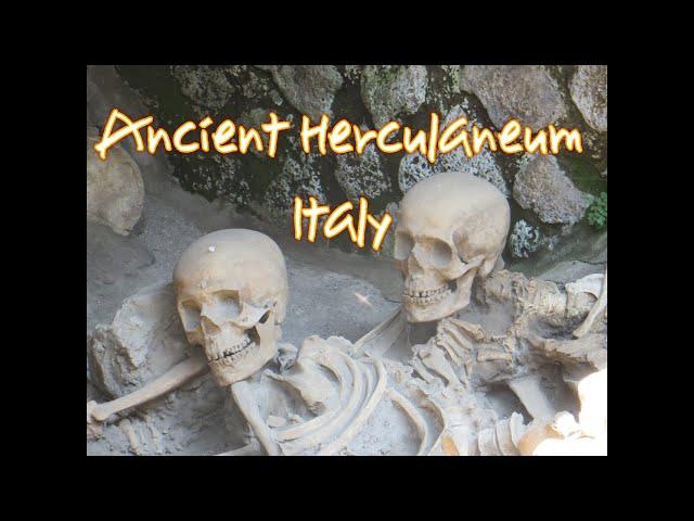 Herculaneum Skeletons.(Destroyed with Pompeii in 79 AD.)