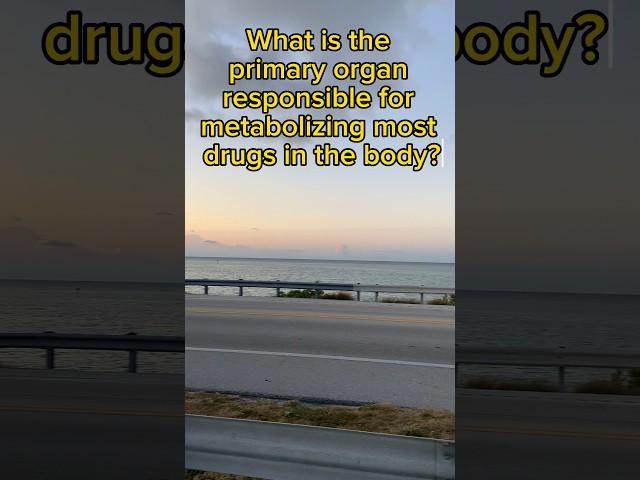 What is the primary organ responsible for metabolizing most drugs in the body?