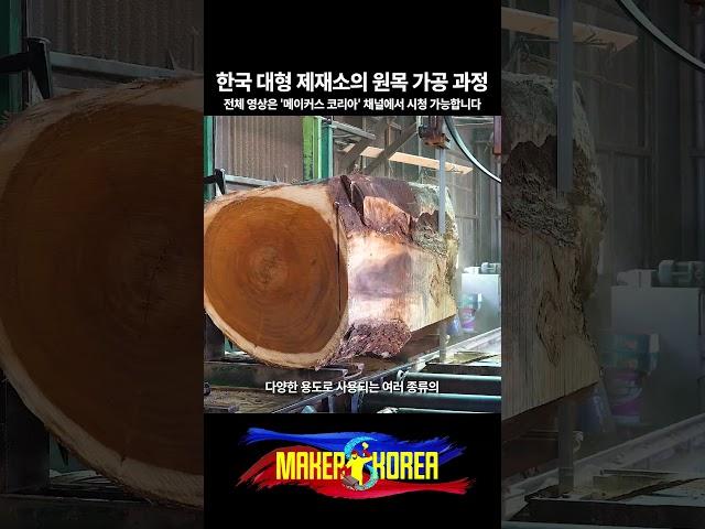 한국 대형 제재소의 원목 가공 과정.
