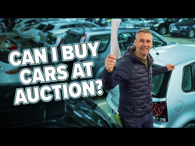 Can a newbie buy used cars at auction? | AI Car Dealership Project Episode 9