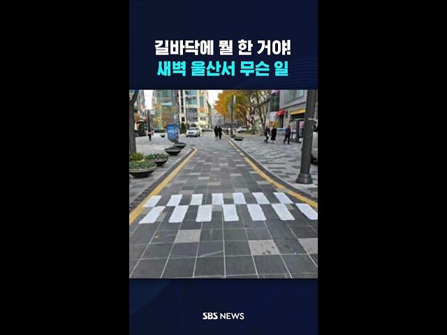 길바닥에 뭘 한 거야!…새벽 울산서 무슨 일 #shorts