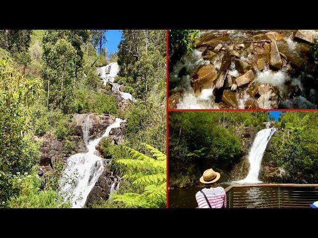 Melbourne Victoria's highest waterfall ｜ Hear the sound of the waterfall