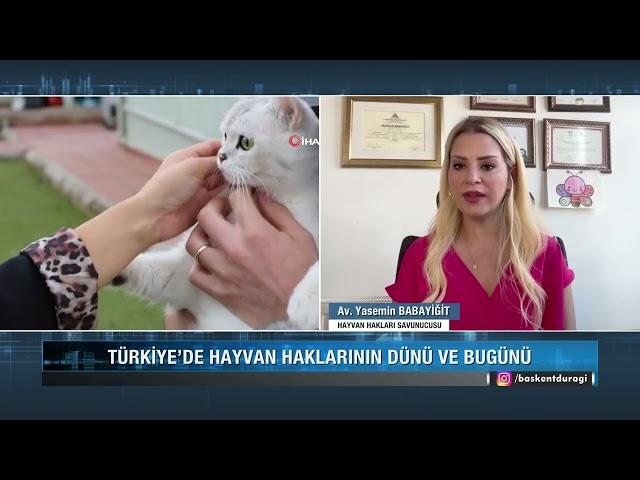 Av.Yasemin Babayiğit ile Türkiye'de Hayvan Hakları Söyleşisi